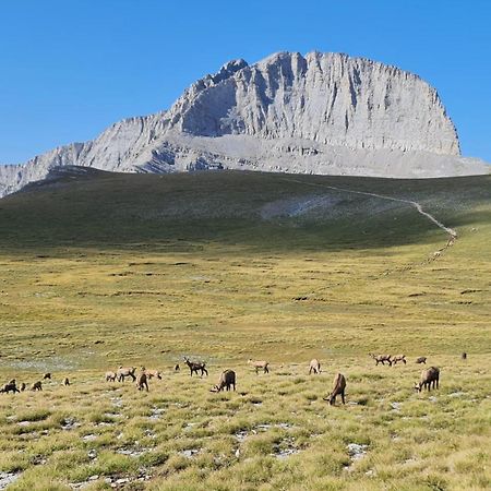 Αθηνα A7 Kateríni Exterior foto