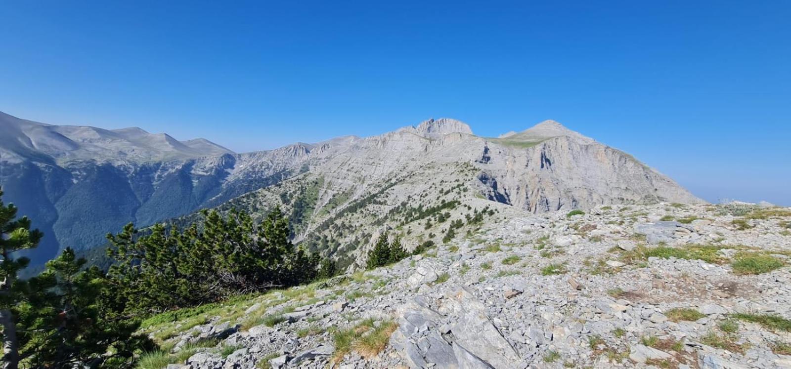 Αθηνα A7 Kateríni Exterior foto